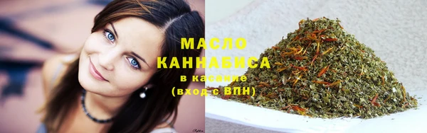 МДПВ Вяземский