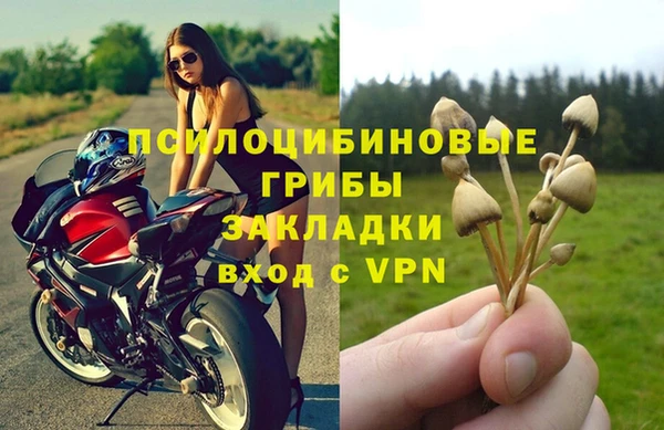 МДПВ Вяземский