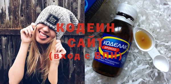 МДПВ Вяземский