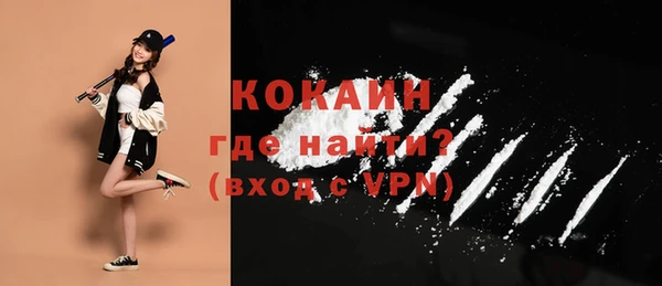 МДПВ Вяземский