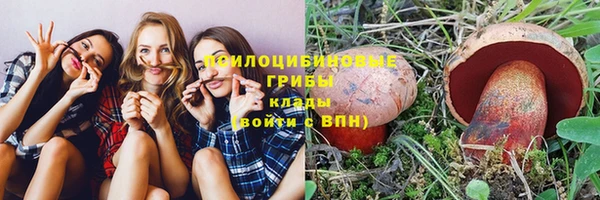 МДПВ Вяземский
