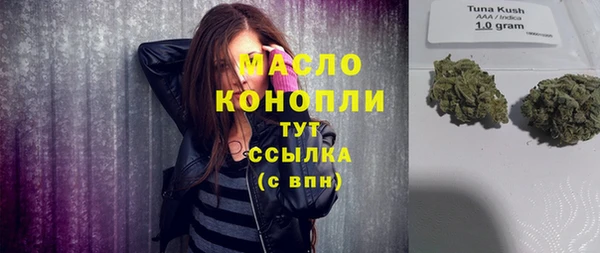 МДПВ Вяземский