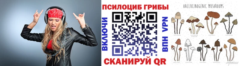 блэк спрут ССЫЛКА Курск Псилоцибиновые грибы мицелий