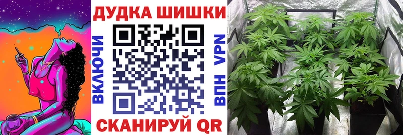 Шишки марихуана MAZAR  Курск 